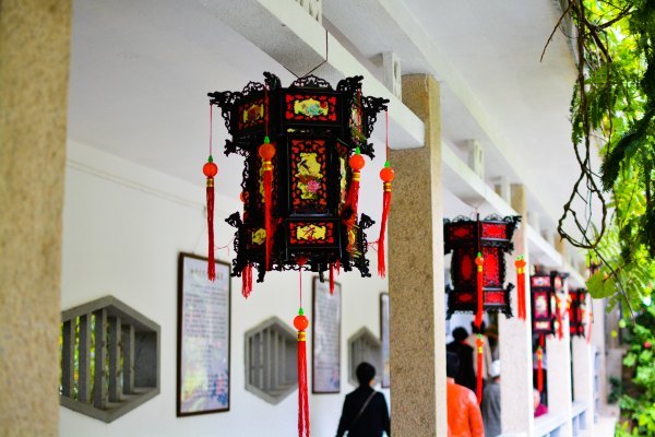 盆栽国色天香,国色天香立春