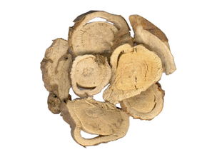 参有哪些种类各有啥不同,常见参的种类及图片