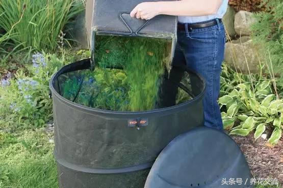 用菜叶和树叶哪个堆肥好,树叶和菜叶哪个做堆肥更好