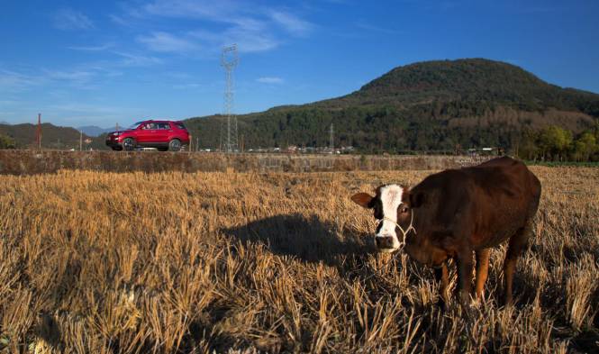 喧嚣的世界，长安CX70T还你静谧空间