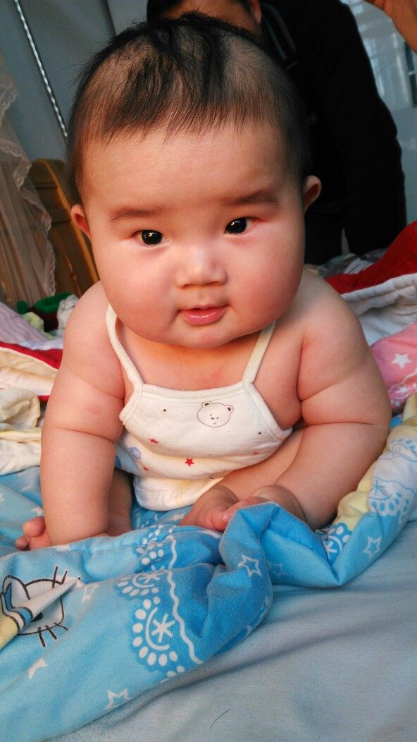 鱼缸养鲫鱼和金鱼,在鱼缸里养金鱼和鱼苗