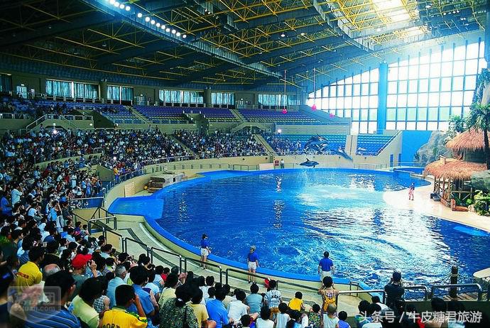 北京工体富国海底世界周边玩乐,北京富国海底世界海洋水族馆