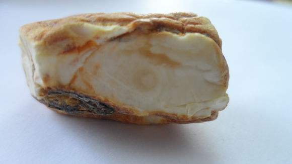 蜜蜡琥珀和老蜜蜡琥珀有什么区别,什么是蜜蜡琥珀的形成