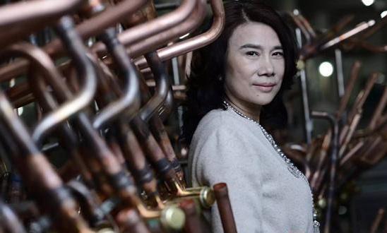 汽车空调不制冷技师该怎么做,汽车空调不制冷自己动手