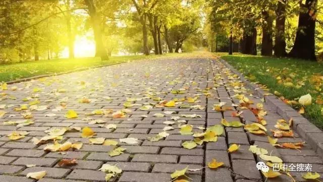 巴中，又排全国第一，还要别的城市活不？