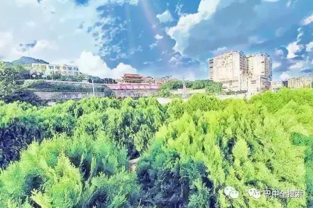 巴中，又排全国第一，还要别的城市活不？