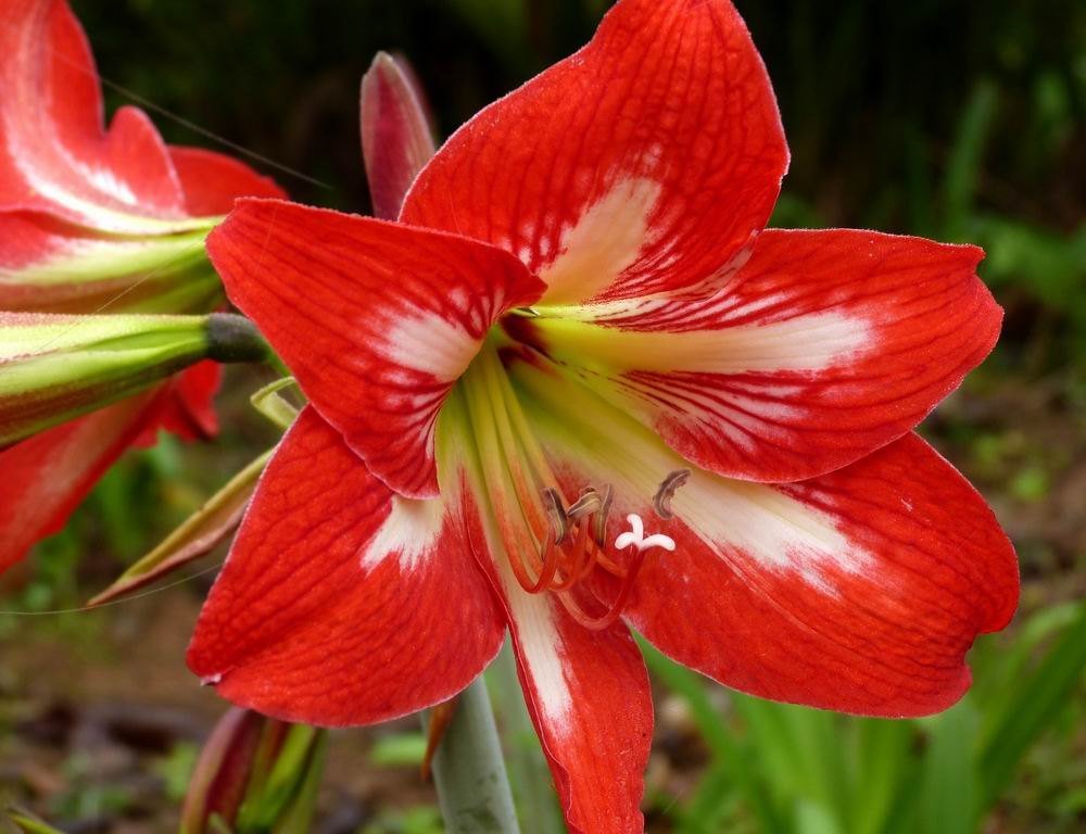 行走西双版纳旅行社,行走西双版纳合集