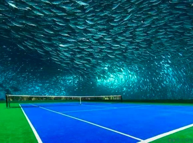 世界上最美的20片足球场,世界上最美的100个篮球场