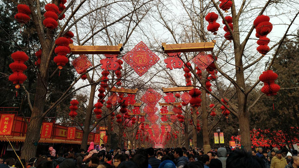 努比亚手机的拍照效果,努比亚拍照效果有多强