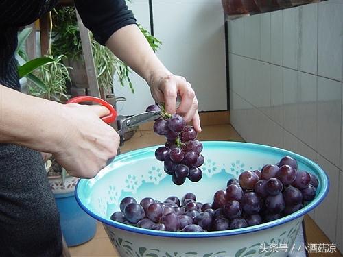 红葡萄酒的酿制方法视频,自制红葡萄酒的酿制方法