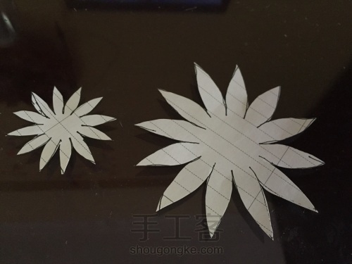 荞葭烫花-玛格丽特