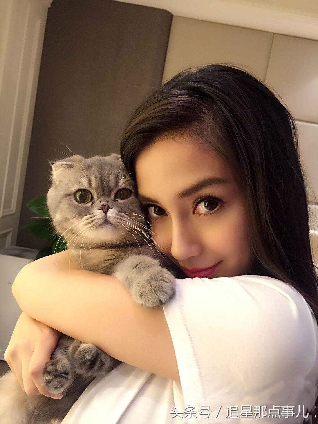 鹿晗胡歌吴磊,鹿晗胡歌葫芦娃