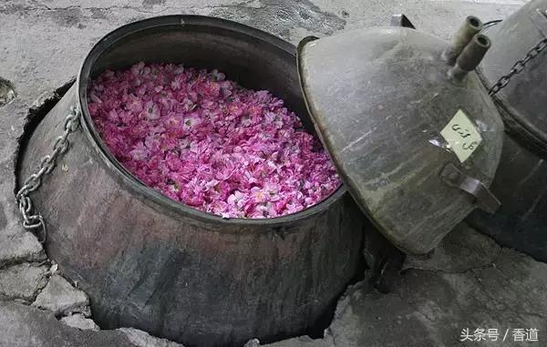 可囊可食,可嗅可观,可插可戴的玫瑰,才是“真玫瑰”