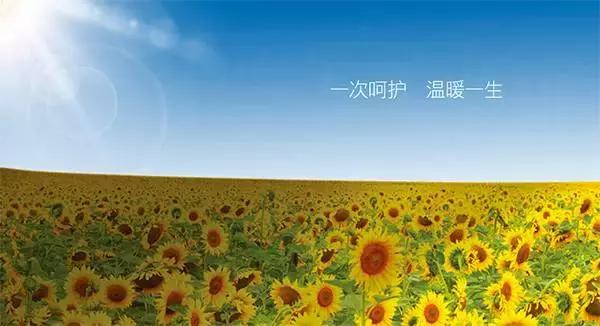 暖宫保养瑜伽,暖宫瑜伽助孕