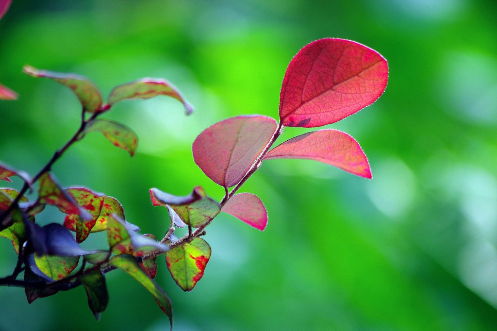 医院门诊管理的主要内容,医院门诊制度标准