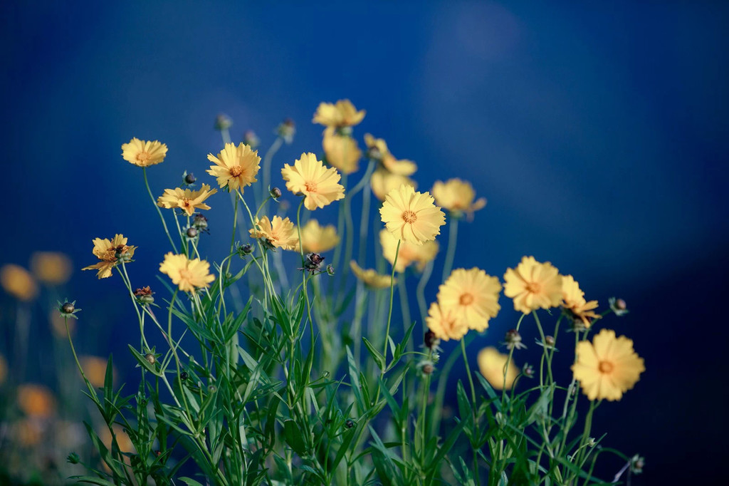 医院门诊管理的主要内容,医院门诊制度标准