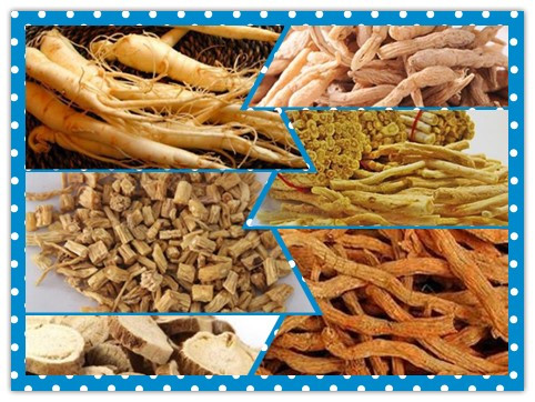 人参西洋参和丹参治什么,人参和西洋参哪个补气血效果好