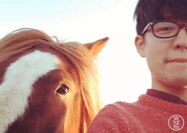 我们和郑州的海龟聊了聊，发现他们的生活不过如此