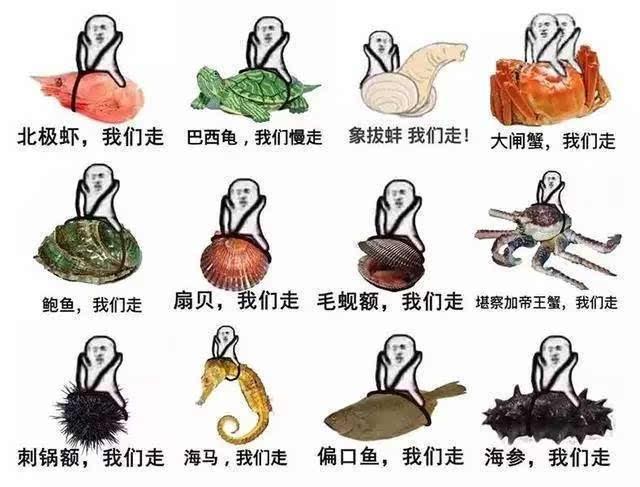 皮皮虾歪嘴表情包图片大全,皮皮虾最流行的表情包