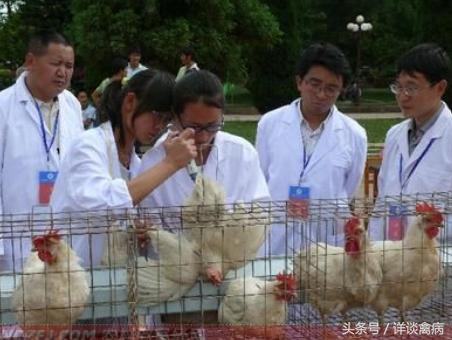 人工授精的具体步骤和规范