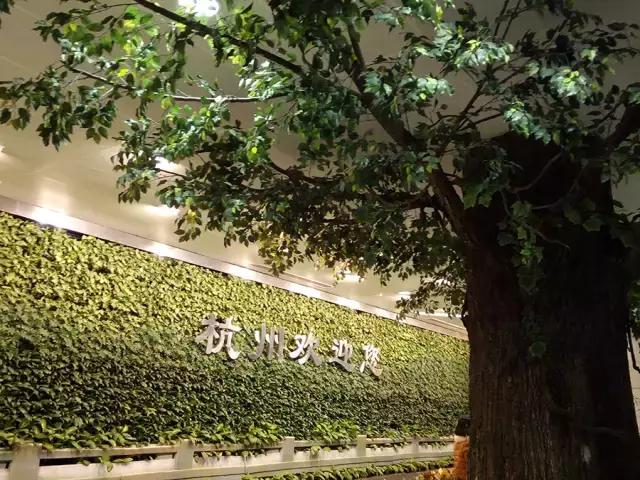 杭州四眼井便宜旅馆多吗,杭州四眼井西湖