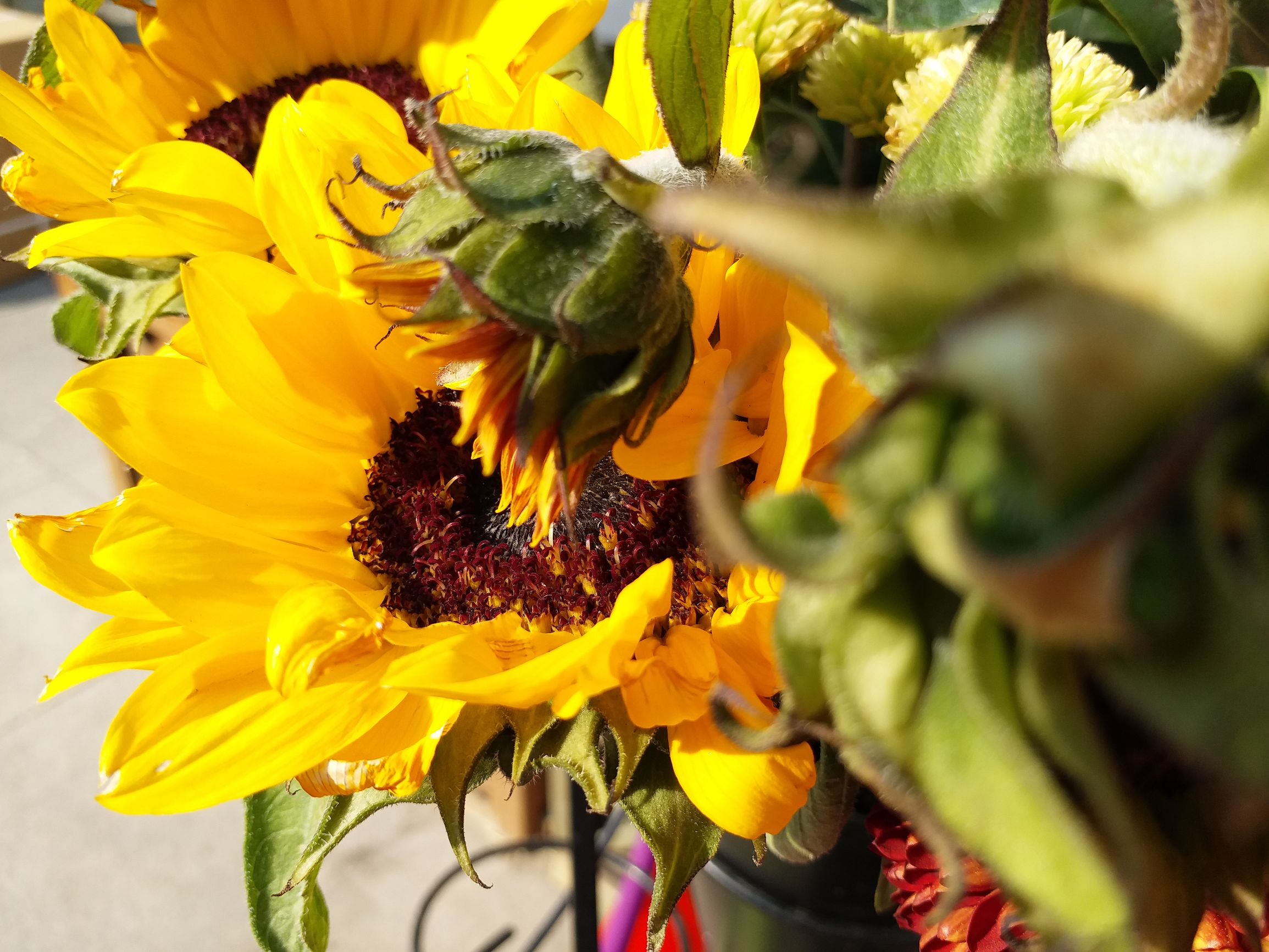 实际比刚刚好还要好三星C7Pro上手评测