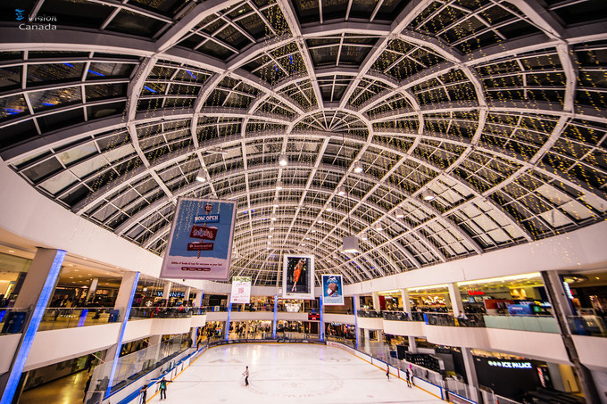 买货激动现场的视频,买手机激动时刻