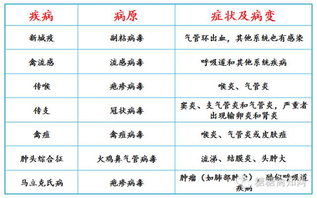 常见呼吸道传染病及预防,常见呼吸道疾病用什么药