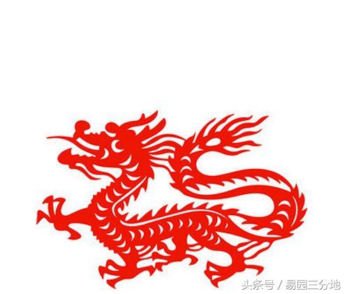 十二生肖之辰龙篇解密,由出生月份看12生肖终生命局