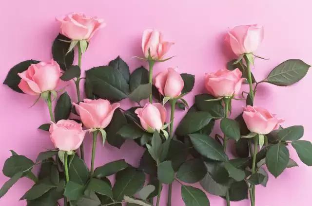 情人节花店必备哪些鲜花,情人节花店送花