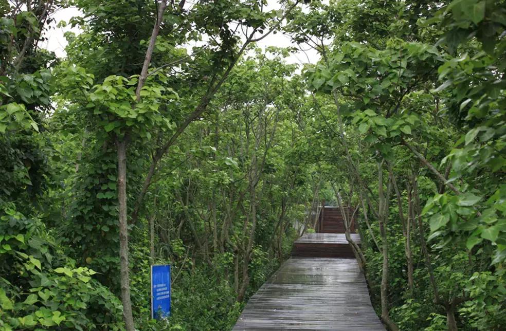 珠海走走逛逛,珠海吃喝玩乐游玩攻略