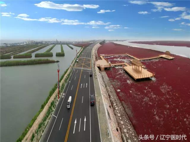 我叫辽宁,绝对不是我吹牛,今年我将让全国刮目相看!