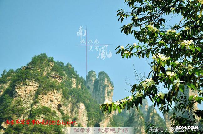 张家界国家森林公园旅游攻略,张家界品质游旅行社旅游攻略