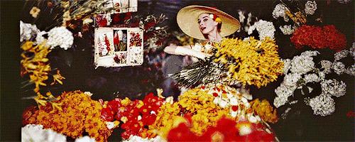 情人节过得好,女票生气少~这份指南请收好,记得艾特自己的男票