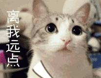 生吃鱼胆清肝明目,生吞鱼胆能明目吗