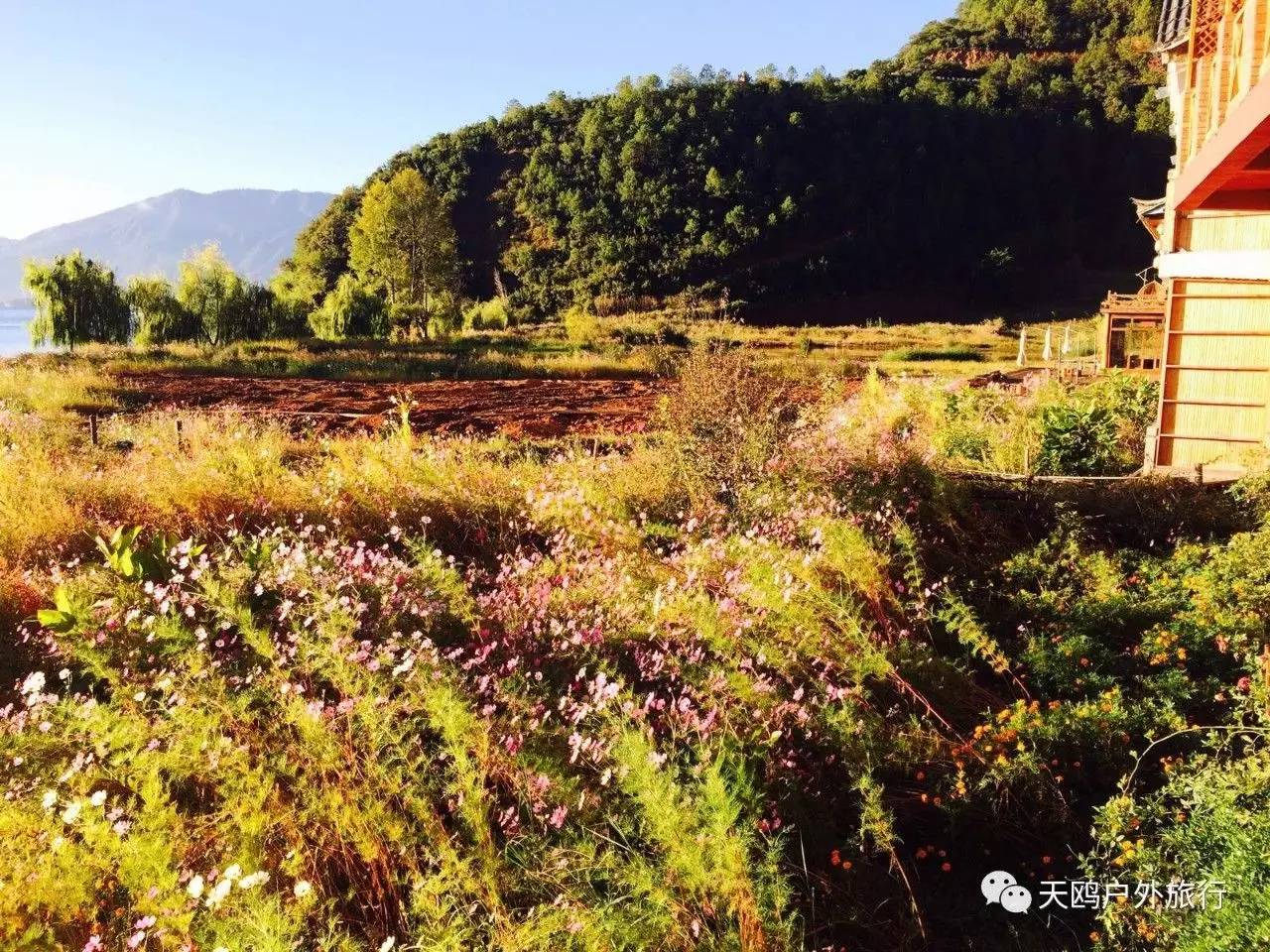 丽江去泸沽湖旅游攻略必去景点,云南泸沽湖十大著名景点排名