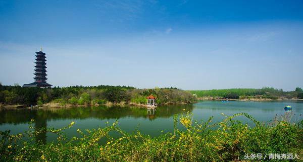 江苏一个四线城市,被誉为地球上的“生命圣地”