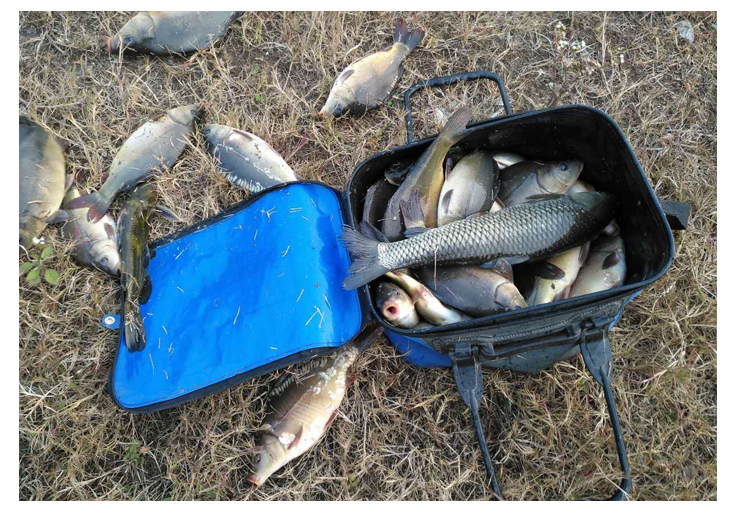 空钩悟道－禅隐超轻鱼竿