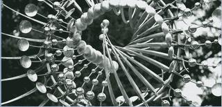 动态美学和静态美学,风吹幡动仁者心动