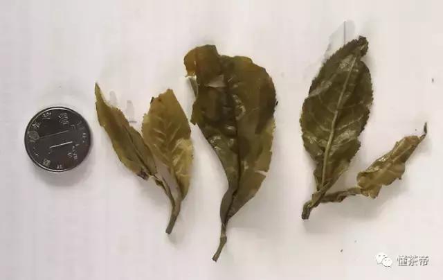 云南碧螺春价格一般是多少,云南碧螺春怎么泡最好