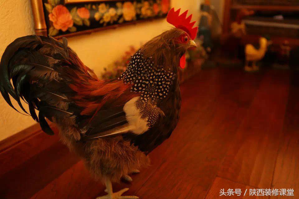 125平美式乡村风25万勉强硬装搞定,135平方美式乡村风情