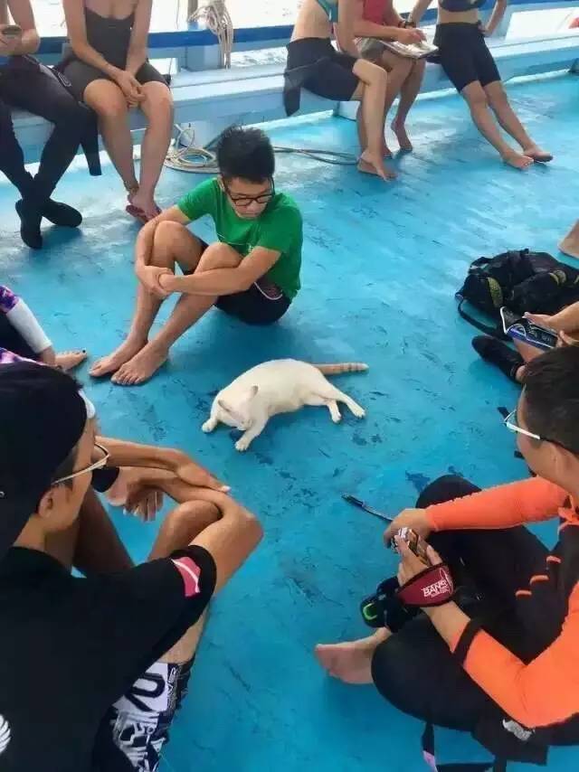 泰国｜涛岛：在海上漂了一年，我终于沉下去了