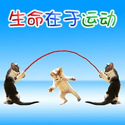 熬夜上班困怎么提神,老是累如何快速提神