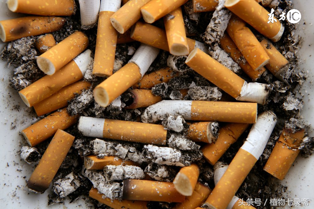 自制白醋杀虫剂家庭养花,家用室内花卉杀虫剂