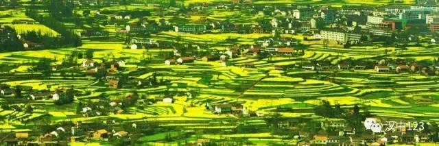 2018汉中油菜花旅游攻略,2024汉中油菜花自驾游攻略