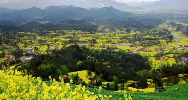 2018汉中油菜花旅游攻略,2024汉中油菜花自驾游攻略