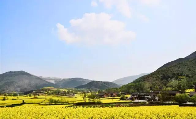 2018汉中油菜花旅游攻略,2024汉中油菜花自驾游攻略