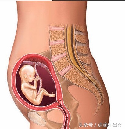 四个月胎儿发育标准,以及妈妈的身体变化