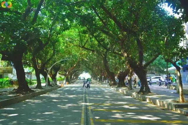 珠海走走逛逛,珠海吃喝玩乐游玩攻略