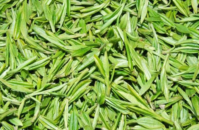 帮你冲走过年吃的所有罪恶感,快看过来